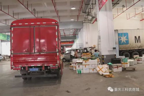 風(fēng)雨同舟，共抗疫情——三科農(nóng)商城為重慶抗疫加油，與大家共渡難關(guān)