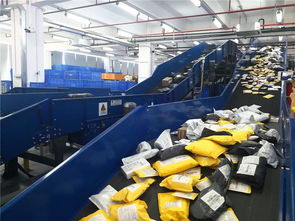 東莞制造乘跨境電商東風，貨物進出口實現跨越式增長